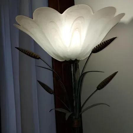 Citta Dei Papi-rustico In Centro 아파트 *