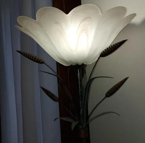 Citta Dei Papi-rustico In Centro Apartament *